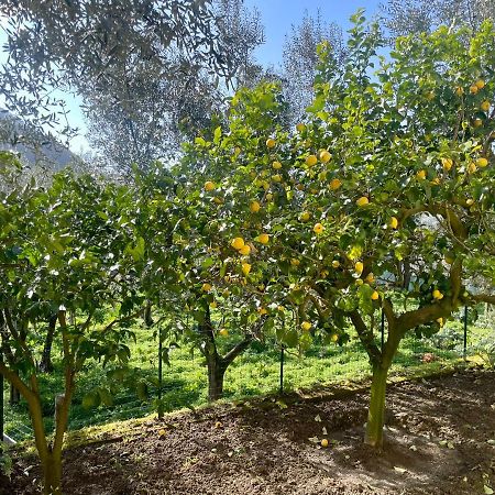 Sorrento Realty Holidays - The Smile Of The Sun Exteriör bild